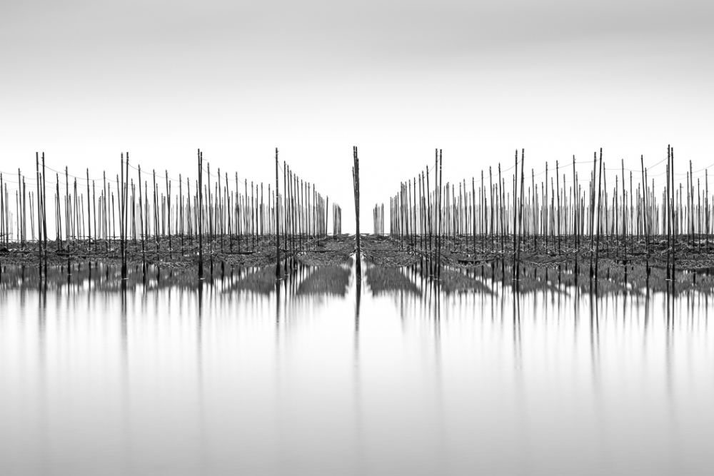 Seaweed Nets, Chitahanto, Japan