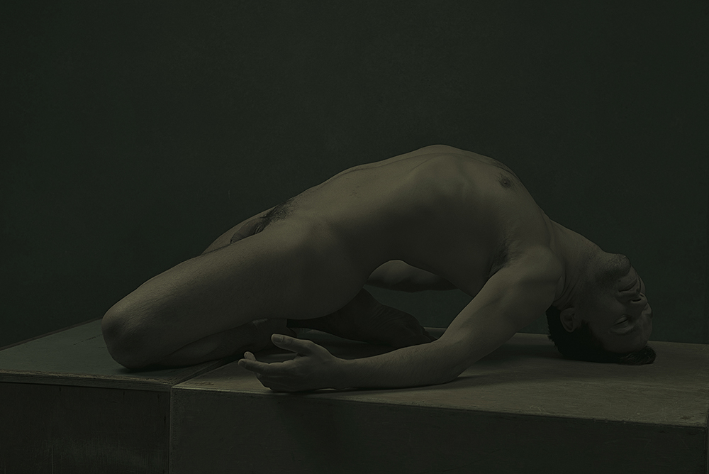 Cognitive Bodies