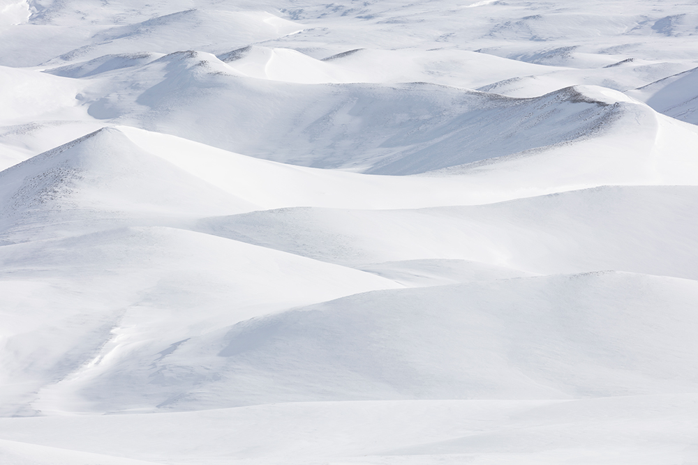 Powder