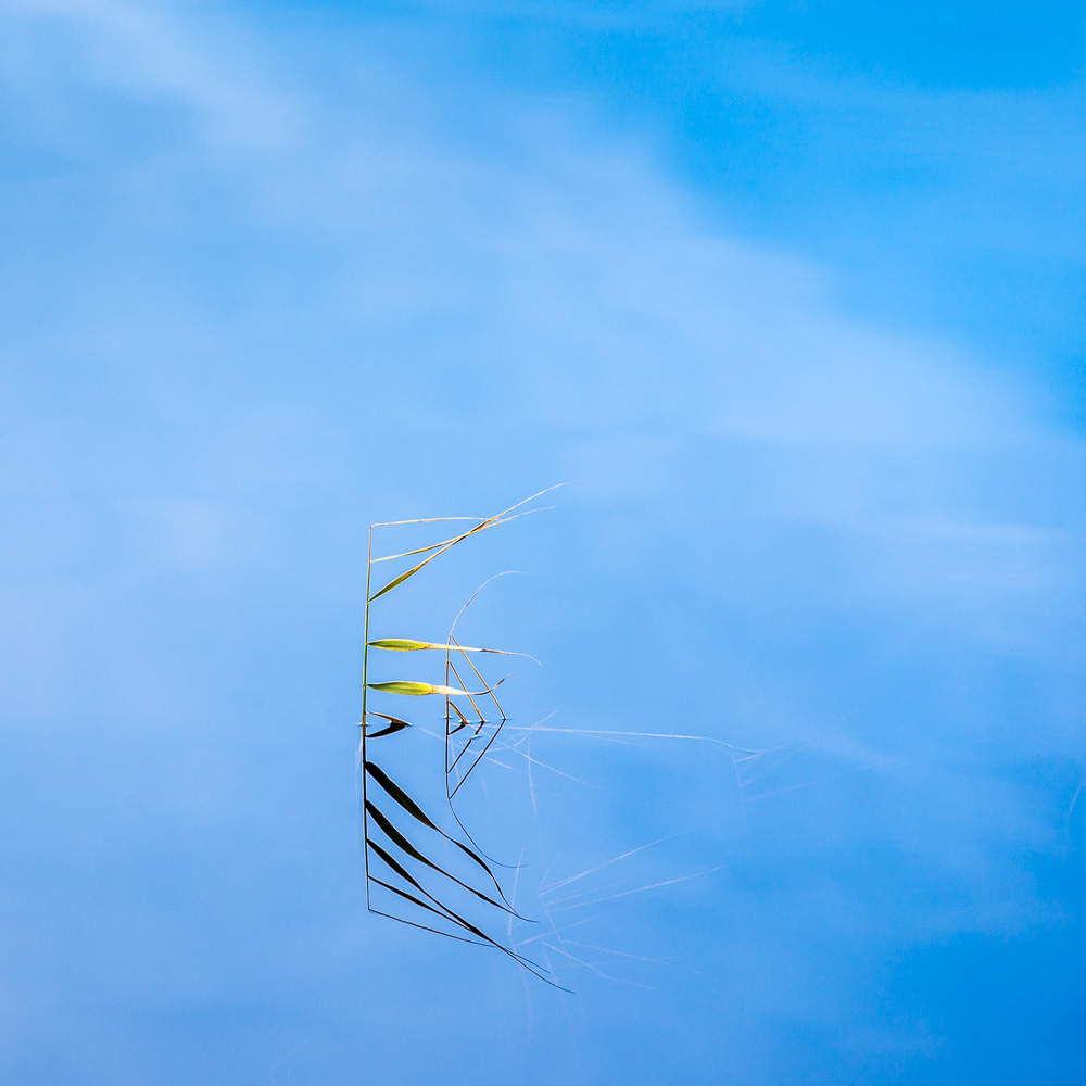 A Moment of Reflection