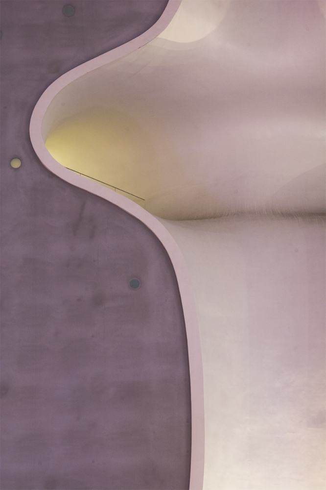 The Curve
