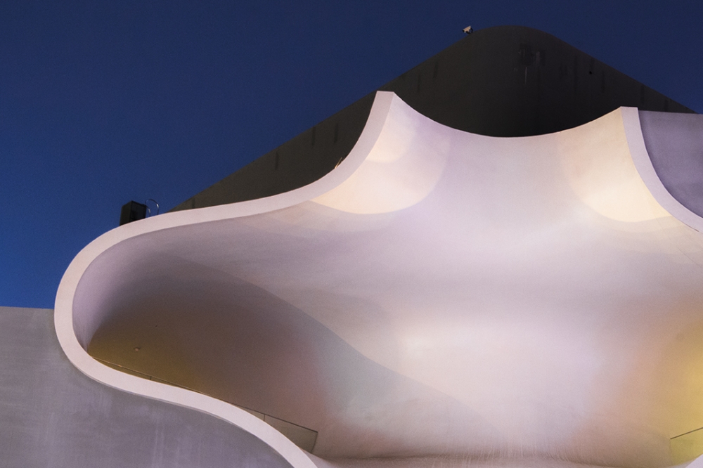 The Curve