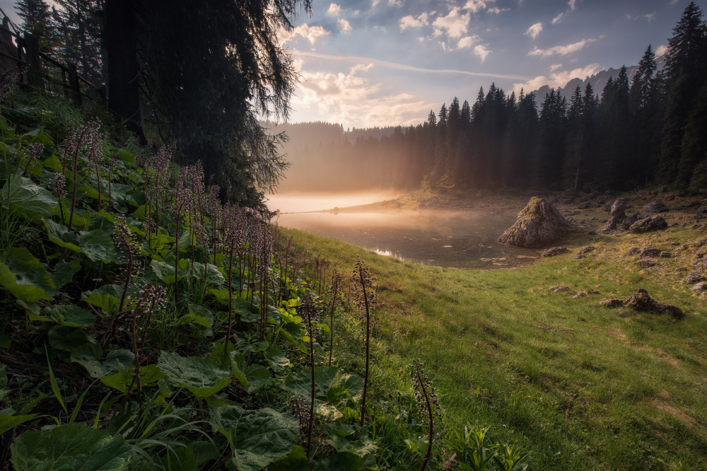 Landscapes of the world