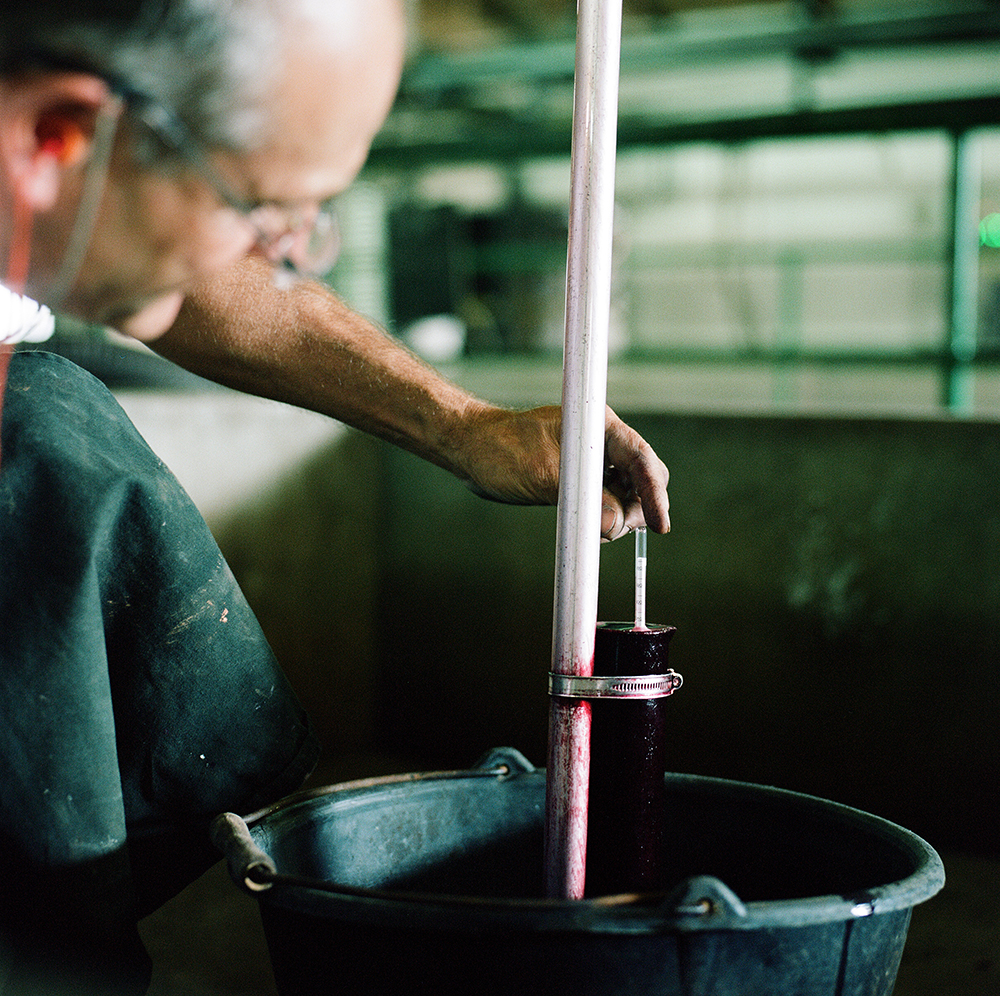 French Agriculture