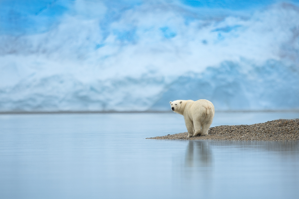 Glacier Boy