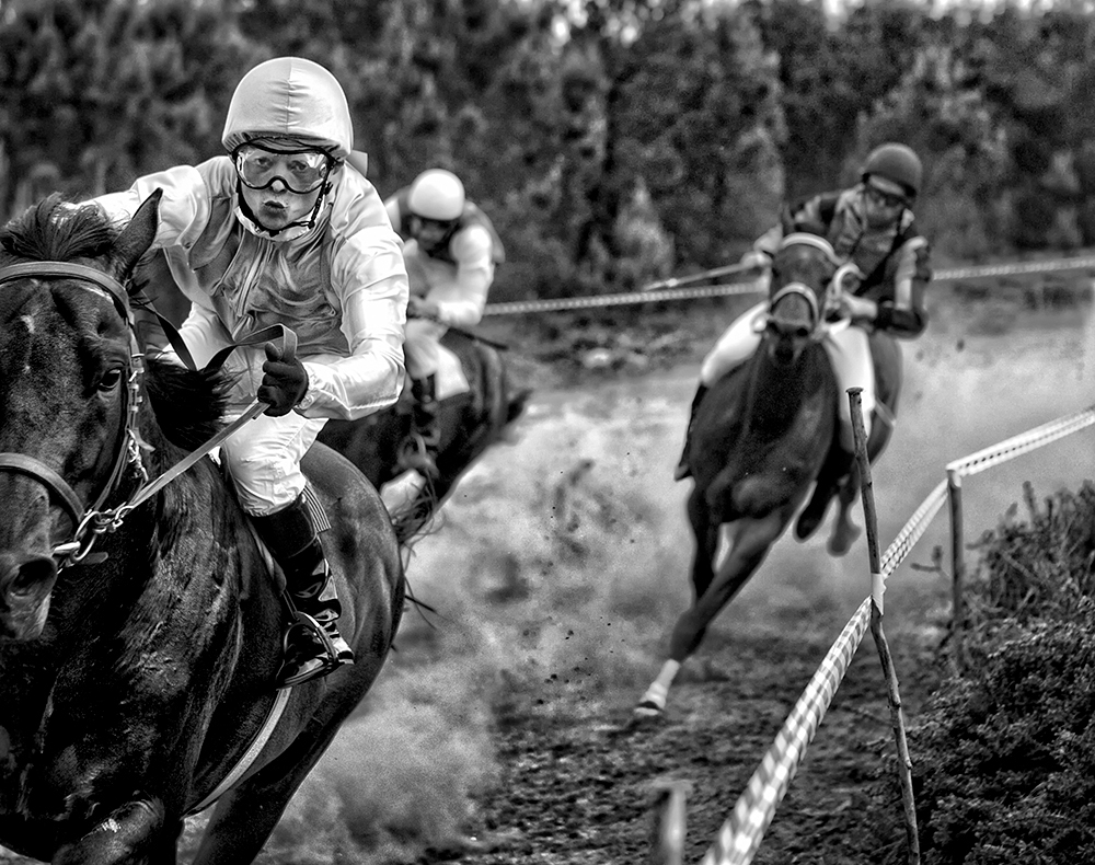 Winning Horse