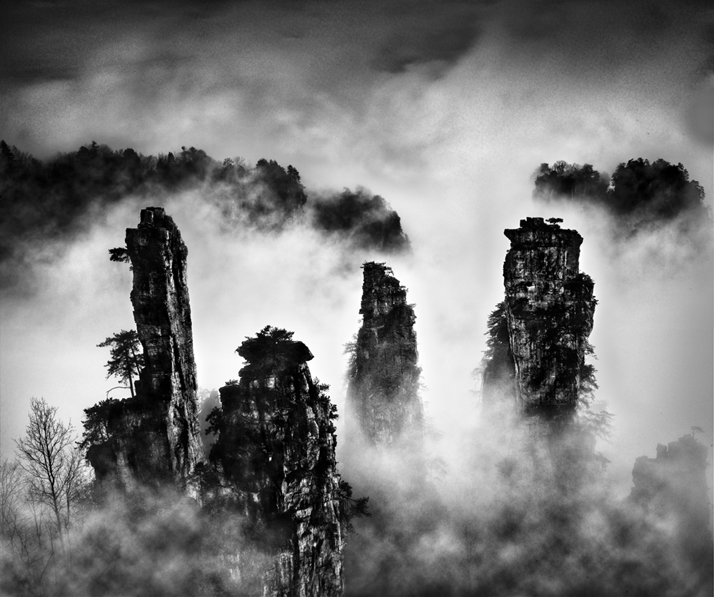  Essay Monochrome Landscapes  of China 