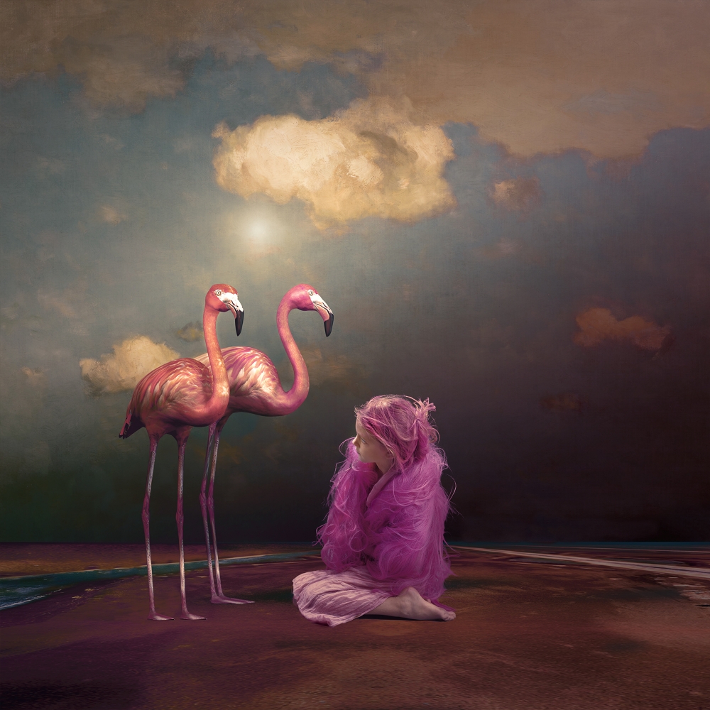 From Painting to Photography