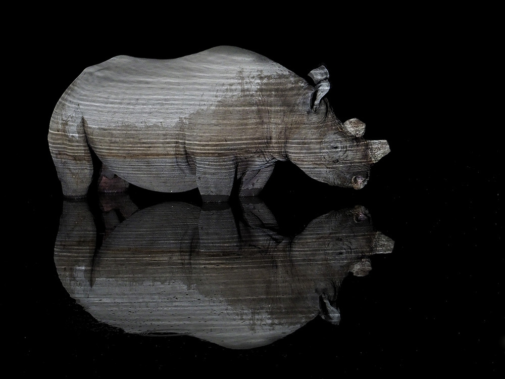 Black Rhino reflction at night