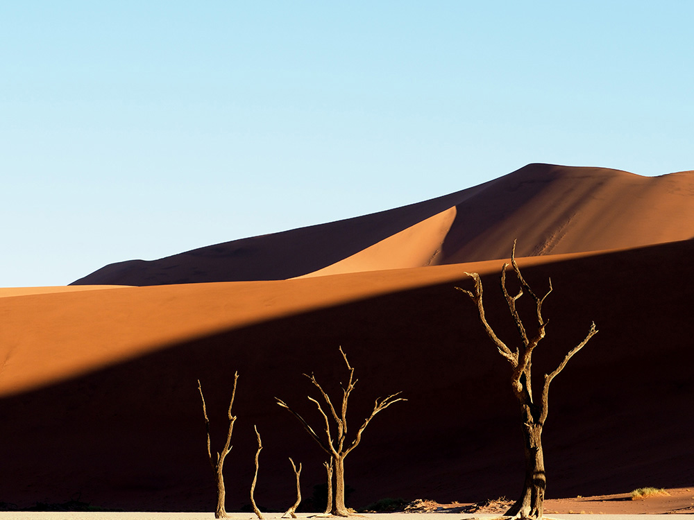 The Deadvlei 