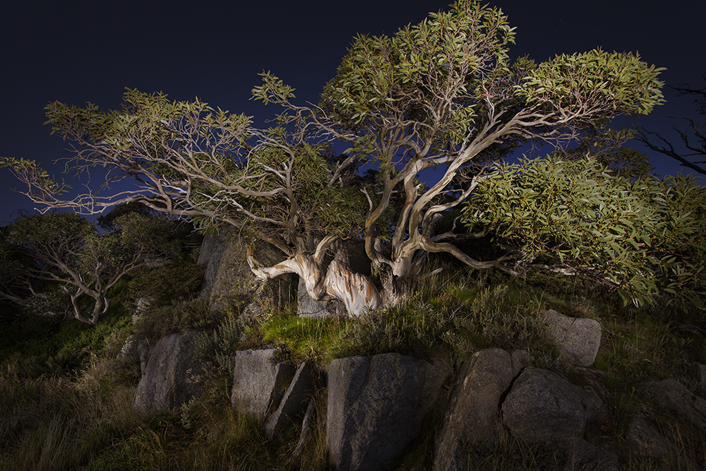 Australian Outback