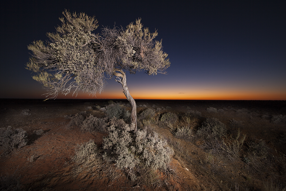Australian Outback