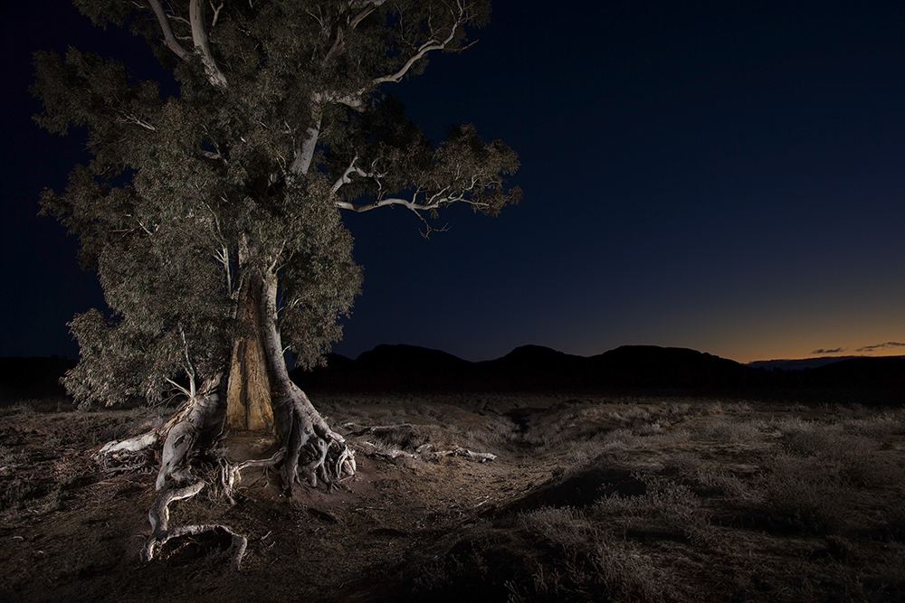 Australian Outback