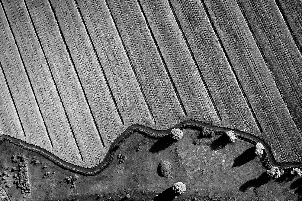 natural perspectives
