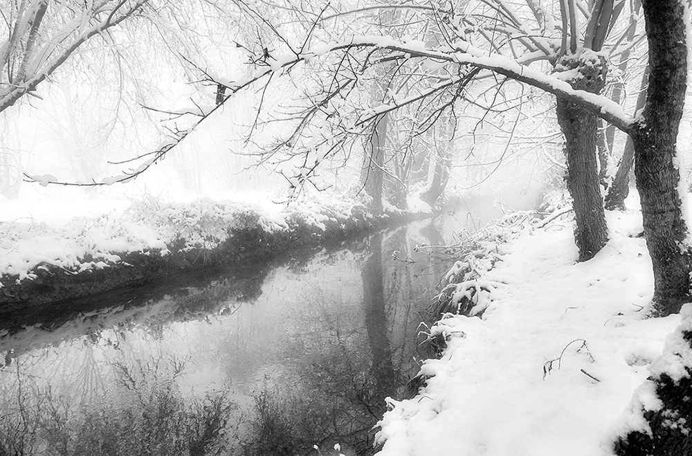Winter