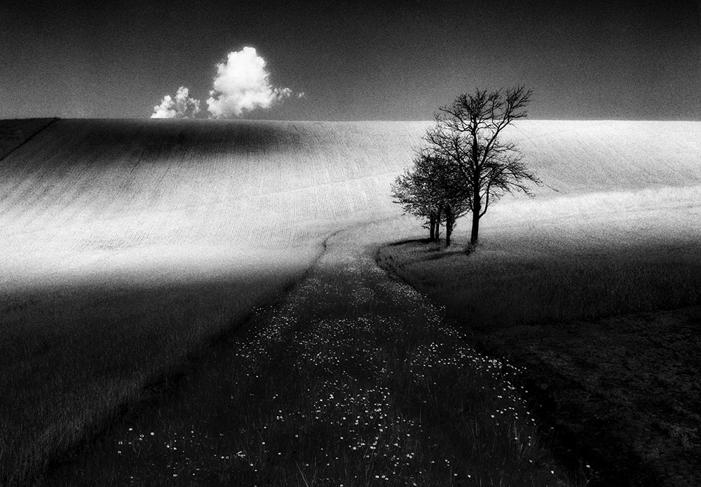 Shadows of light_B