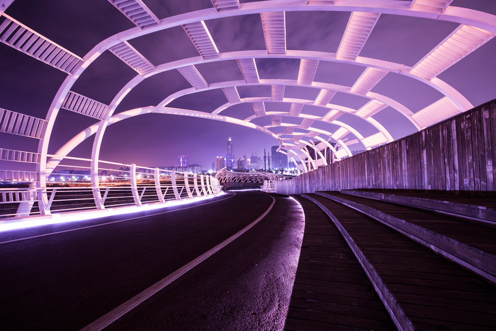 Skybridge