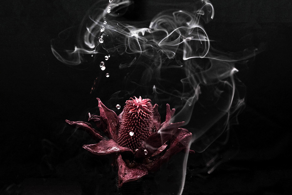 Rebirth 
