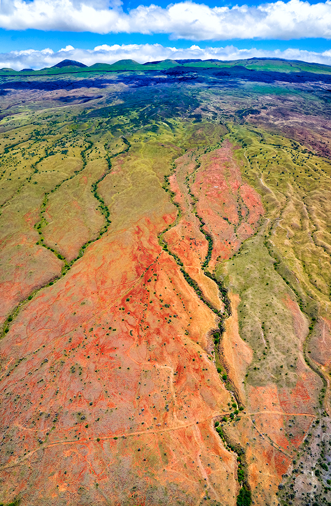 Arid