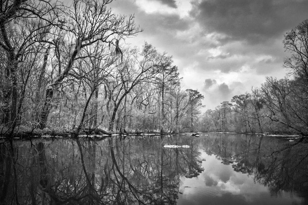 Atchafalaya Dawn