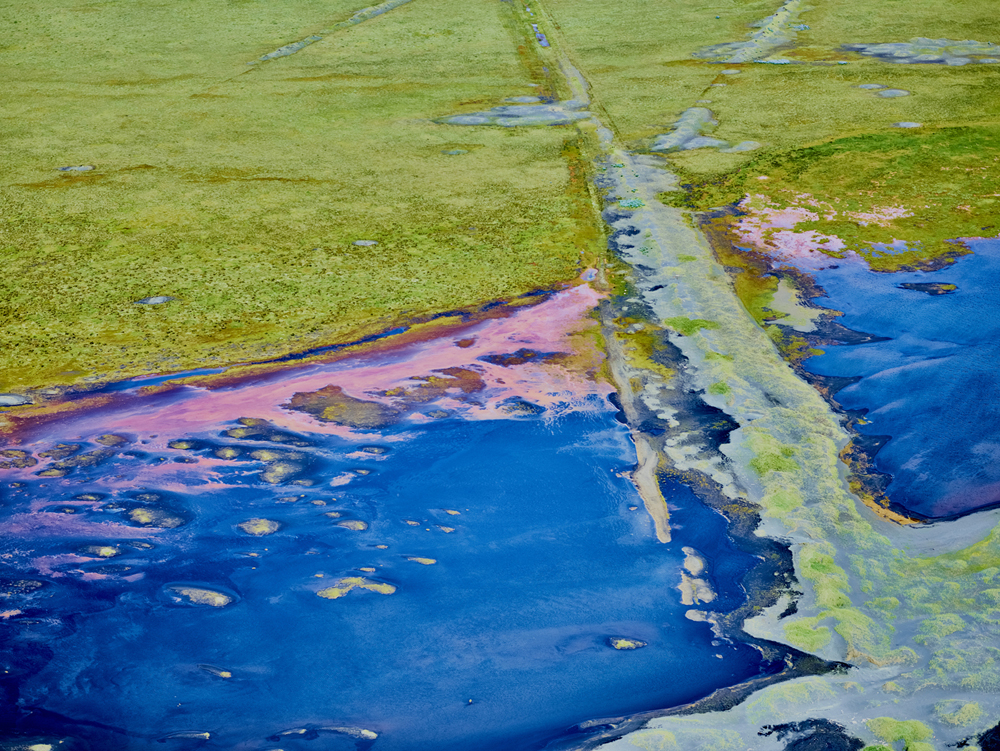 Abstract art nature_vj