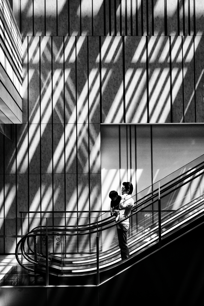 Wherever there is light...