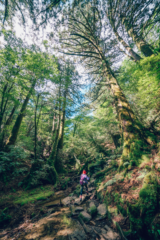 take me to the adventure.