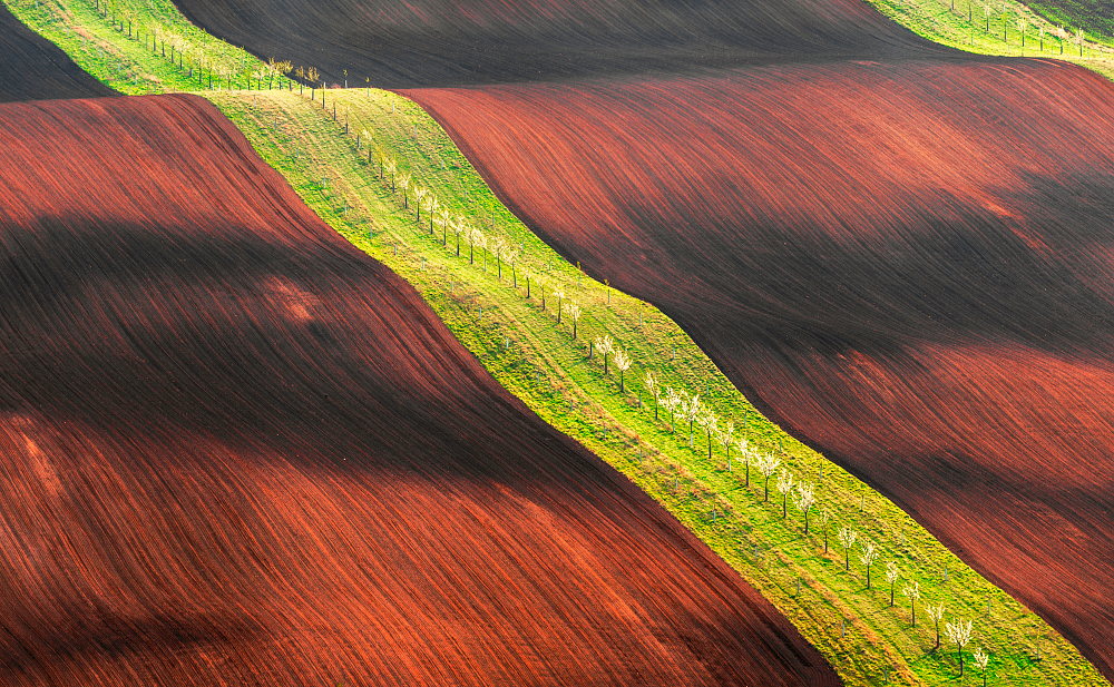 Moravian Tuscany