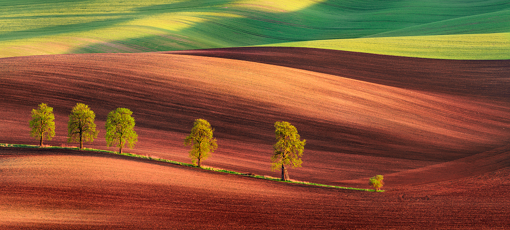 Moravian Tuscany