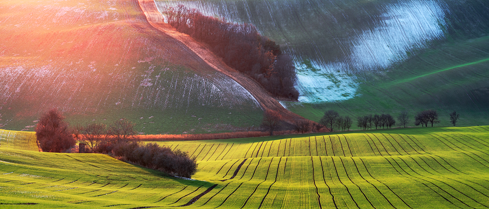Moravian Tuscany