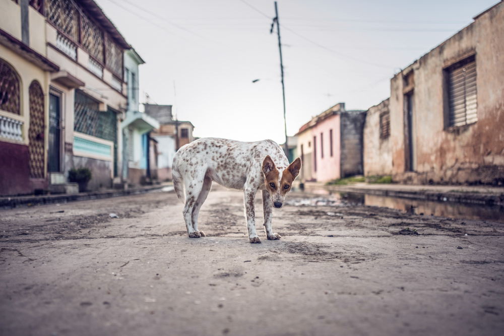 The Streets of Cuba  