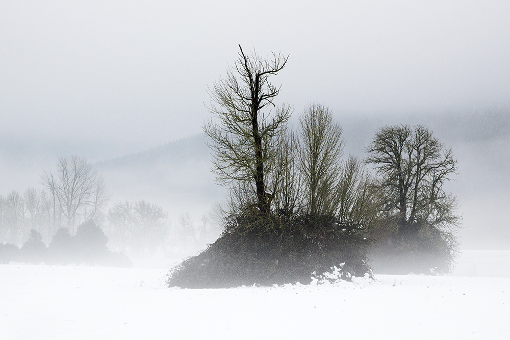 Winter Melt