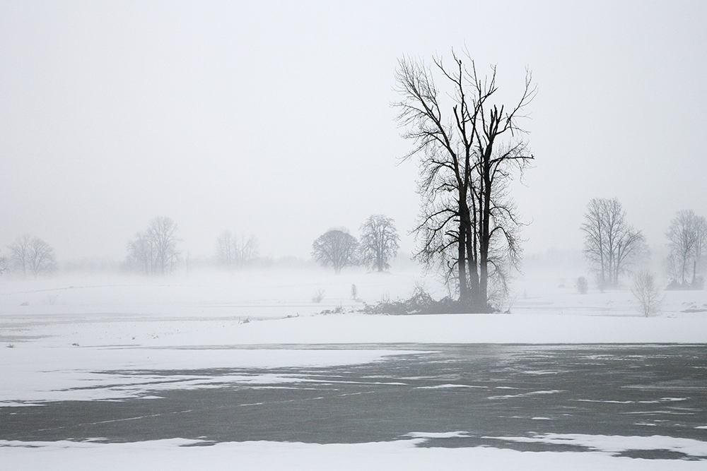 Winter Melt
