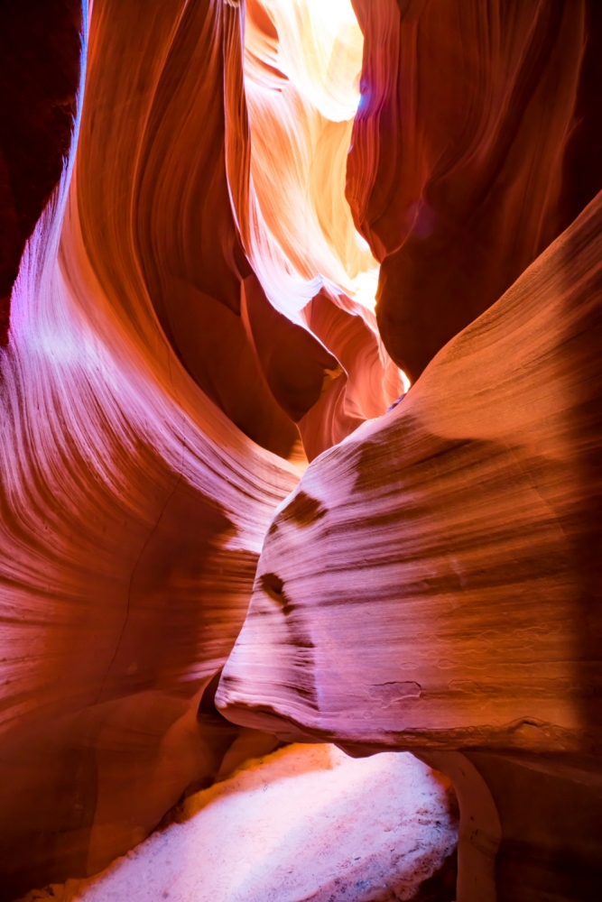 Animals and Saints in Antelope Canyon