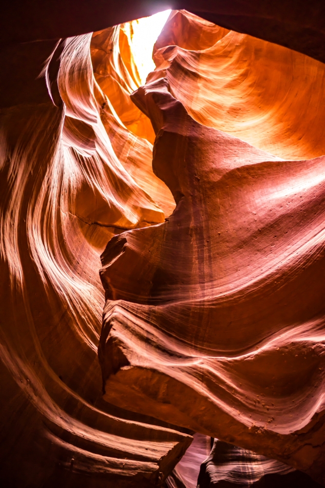 Animals and Saints in Antelope Canyon