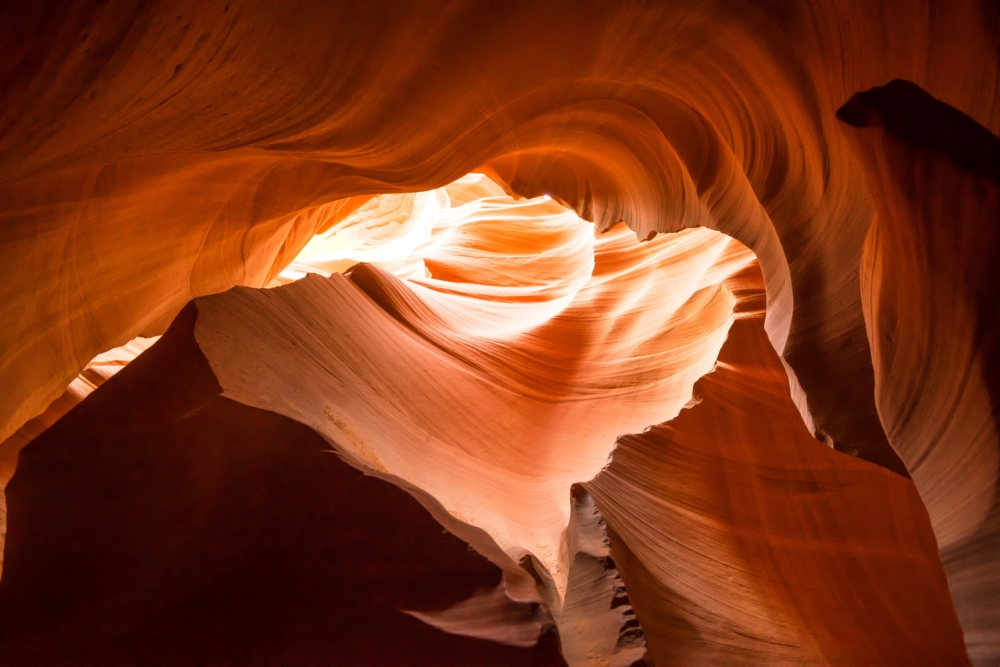 Animals and Saints in Antelope Canyon