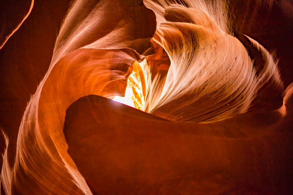 Animals and Saints in Antelope Canyon