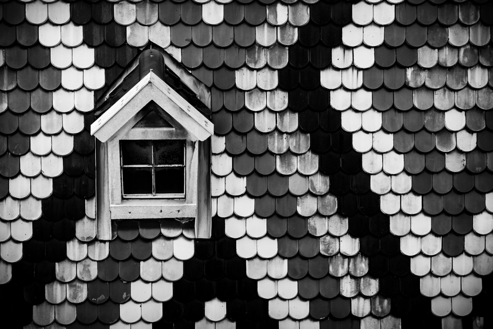 Window