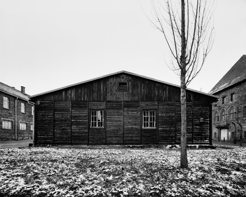 AUSCHWITZ - ULTIMA RATIO OF THE MODERN AGE