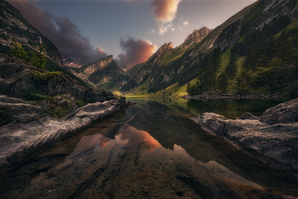 From the Fairyland