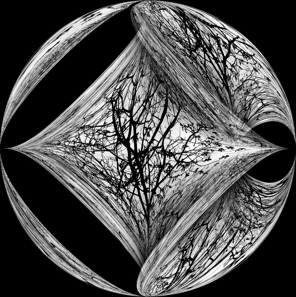 Tree branches
