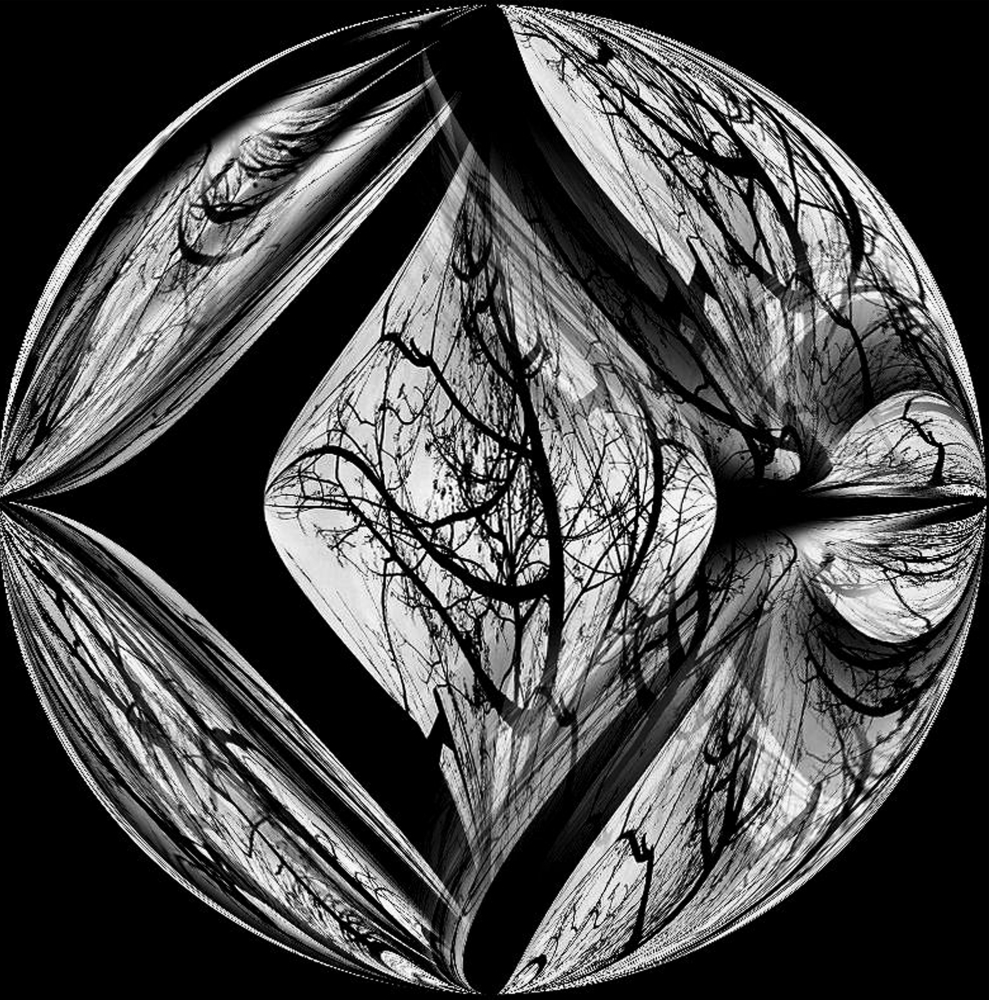 Tree branches
