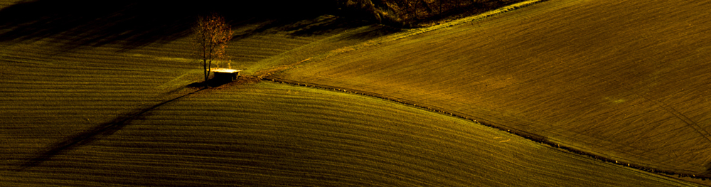 Rural landscape, le Langhe.