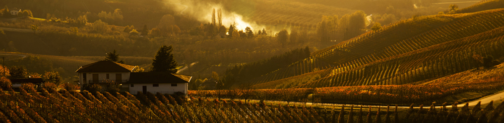 Rural landscape, le Langhe.