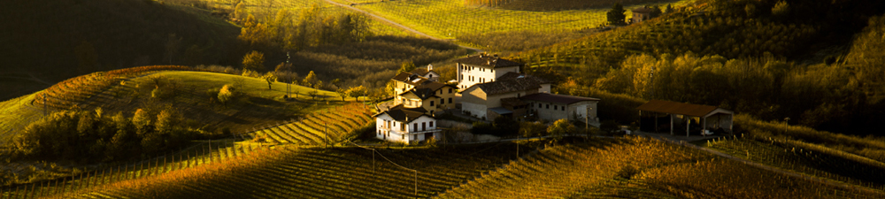 Rural landscape, le Langhe.