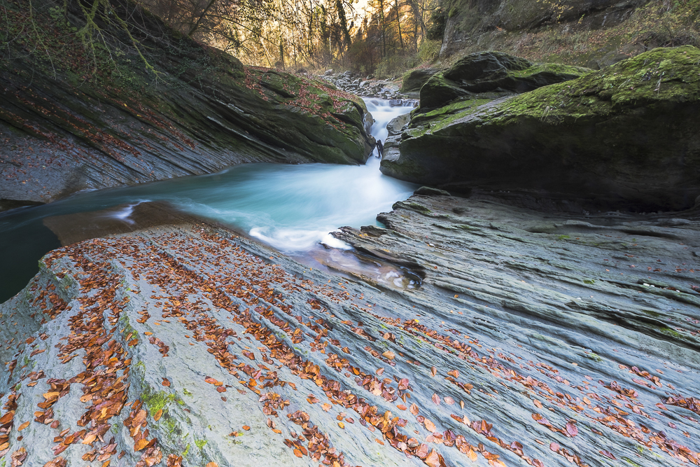 let the good time flow