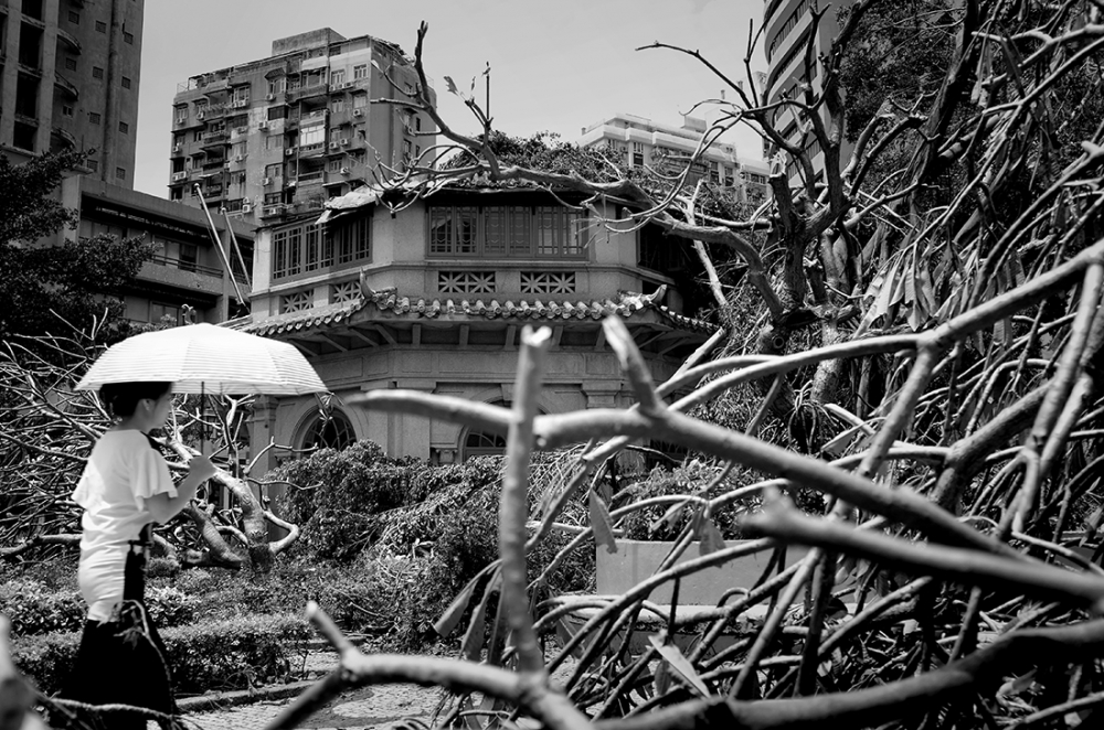 Hato: destruction and a strange silence