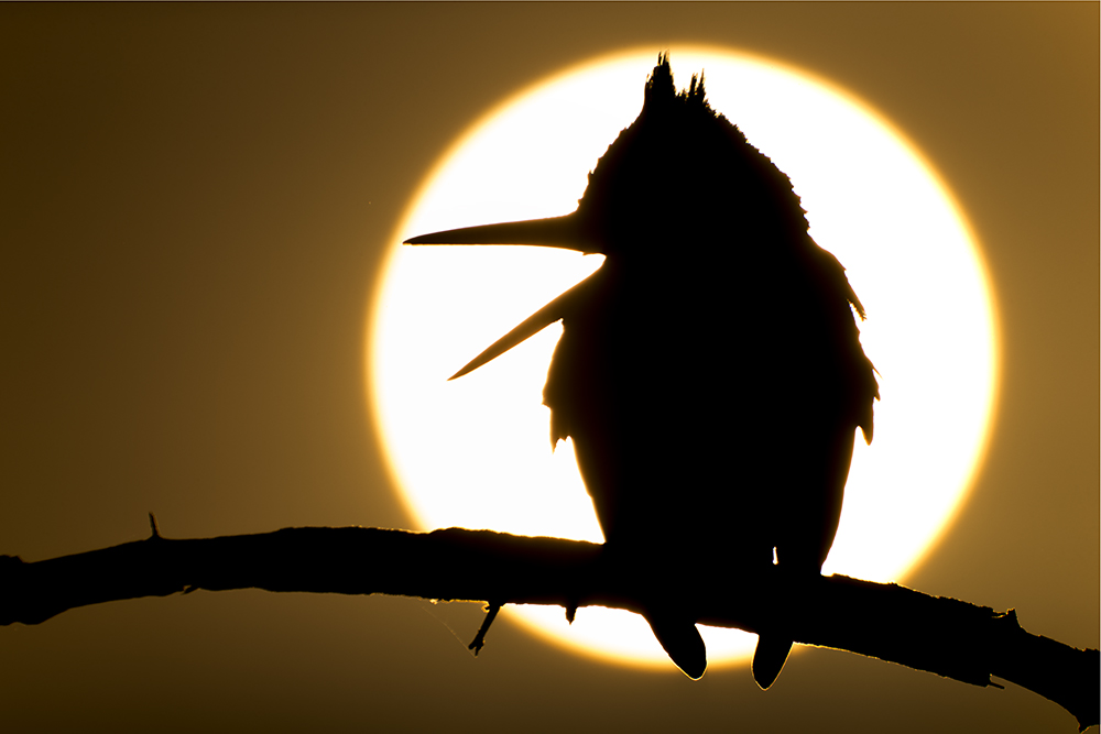 Keep on the sunny side!