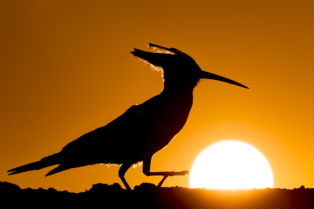 Keep on the sunny side!