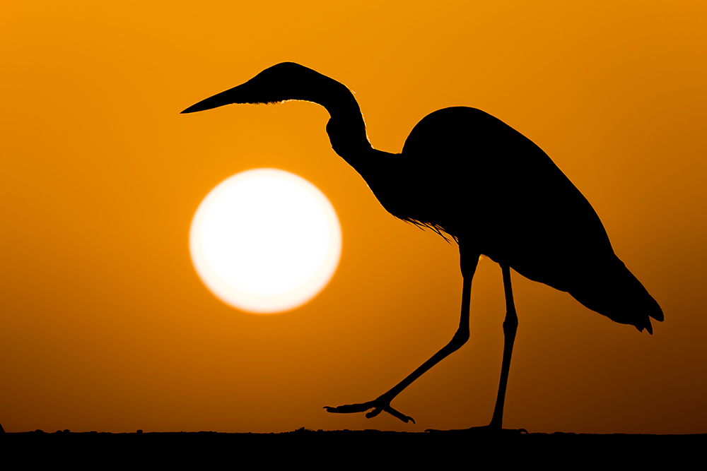 Keep on the sunny side!